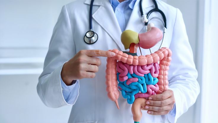 Best GI Specialist Doctor